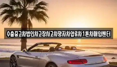 부산광역시 사하구 다대동 중고차 전문 수출중고차법인차고장사고차망자차압류차1톤차매입센터