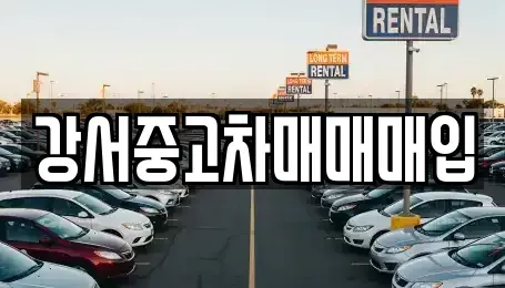 서울 강서구 화곡동 중고차 전문 강서중고차매매매입