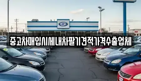서울 강서구 화곡동 중고차매입 전문 중고차매입시세내차팔기견적가격수출업체