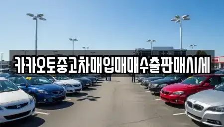 서울 강서구 화곡동 중고차매입 전문 카카오토중고차매입매매수출판매시세