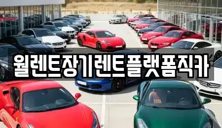 서울 광진구 광장동 장기렌트카 전문 월렌트장기렌트플랫폼직카