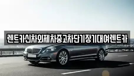 서울특별시 성동구 사근동 장기렌트카 전문 렌트카신차외제차중고차단기장기대여렌트카