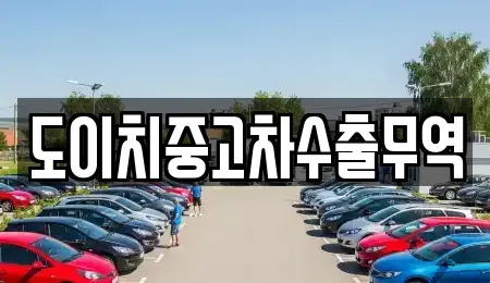 서울특별시 성동구 사근동 중고차 전문 도이치중고차수출무역