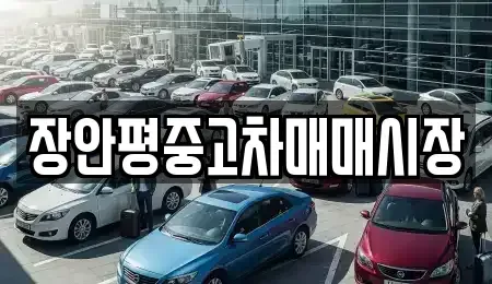 서울특별시 성동구 사근동 중고차 전문 장안평중고차매매시장