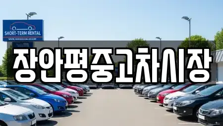 서울특별시 성동구 사근동 중고차매매 전문 장안평중고차시장