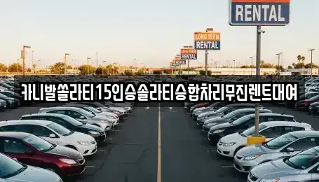 서울특별시 성북구 삼선동1가 렌트카 전문 카니발쏠라티15인승솔라티승합차리무진렌트대여