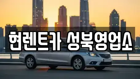 서울특별시 성북구 삼선동1가 렌트카 전문 현렌트카 성북영업소