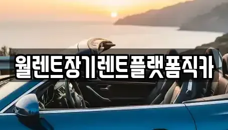 서울특별시 성북구 삼선동1가 장기렌트카 전문 월렌트장기렌트플랫폼직카