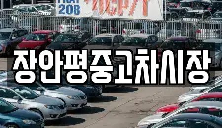 서울특별시 성북구 삼선동1가 중고차 전문 장안평중고차시장