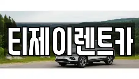 서울특별시 중구 정동 렌트카 전문 티제이렌트카