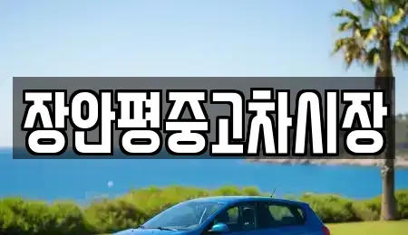 서울특별시 중구 정동 중고차 전문 장안평중고차시장