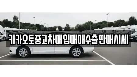 서울특별시 중구 정동 중고차매입 전문 카카오토중고차매입매매수출판매시세