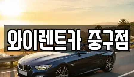 서울특별시 중구 흥인동 렌트카 전문 와이렌트카 중구점