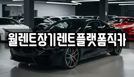 서울특별시 중구 흥인동 장기렌트카 전문 월렌트장기렌트플랫폼직카