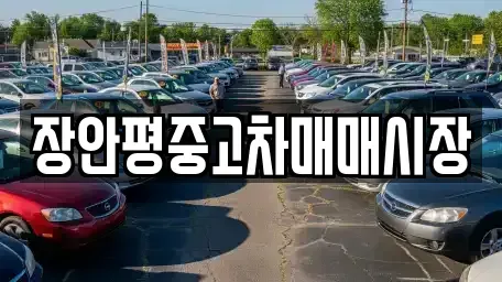 서울특별시 중구 흥인동 중고차 전문 장안평중고차매매시장