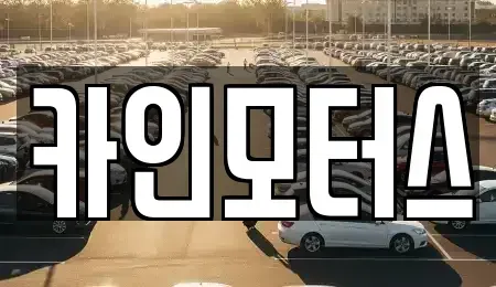 서울특별시 중구 흥인동 중고차 전문 카인모터스