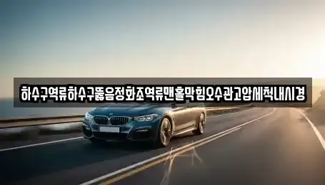 서울특별시 중구 흥인동 중고차 전문 하수구역류하수구뚫음정화조역류맨홀막힘오수관고압세척내시경