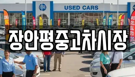 서울특별시 중구 흥인동 중고차매매 전문 장안평중고차시장