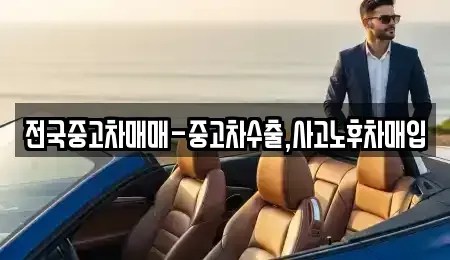 전라남도 목포시 해안동1가 중고차 전문 전국중고차매매-중고차수출,사고노후차매입