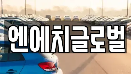 전북특별자치도 완주군 중고차 전문 엔에치글로벌