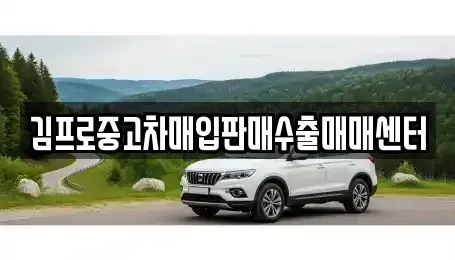 전북특별자치도 완주군 중고차매입 전문 김프로중고차매입판매수출매매센터