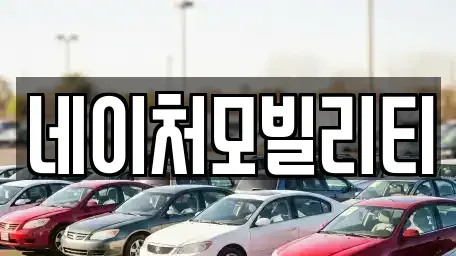 제주 제주시 용강동 렌트카 전문 네이처모빌리티