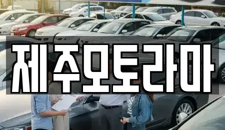 제주 제주시 용강동 중고차 전문 제주모토라마