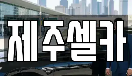 제주 제주시 용강동 중고차 전문 제주셀카