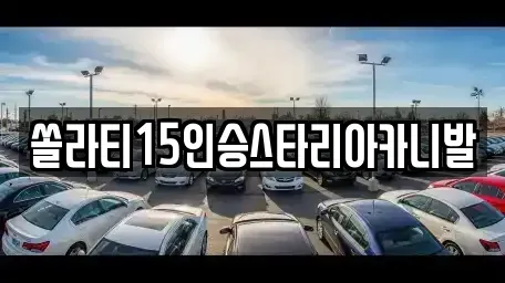 충북 단양군 적성면 렌트카 전문 쏠라티15인승스타리아카니발