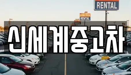 충북 단양군 적성면 중고차 전문 신세계중고차