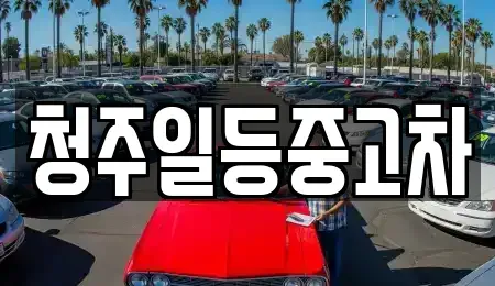 충북 청주시 흥덕구 중고차 전문 청주일등중고차