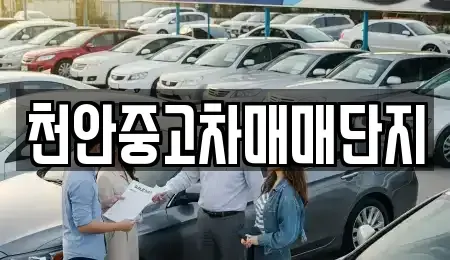 충청남도 천안시 서북구 성정동 중고차매매,단기렌트카,중고차매입,장기렌트카,중고차,렌트카