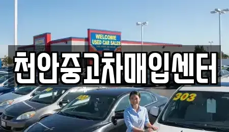 충청남도 천안시 서북구 성정동 중고차매매 전문 천안중고차매입센터