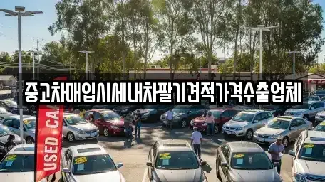 충청남도 천안시 서북구 성정동 중고차매입 전문 중고차매입시세내차팔기견적가격수출업체