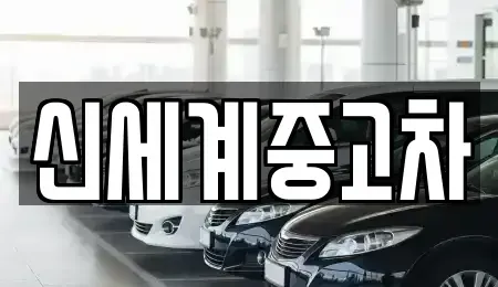충청북도 단양군 적성면 중고차매매 전문 신세계중고차