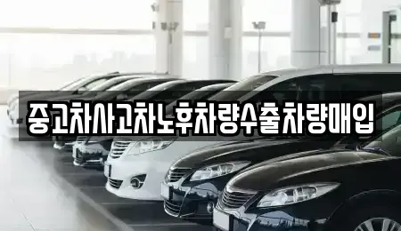 충청북도 단양군 적성면 중고차매입 전문 중고차사고차노후차량수출차량매입